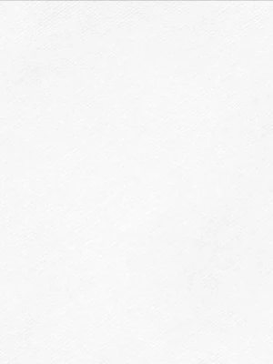 Matētas flīzes ALATRI SNOW LINER, 40x120 cm, DE