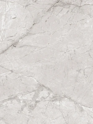 Matētas flīzes ZORANI BIANCO CARVING, 60x60 cm, EG