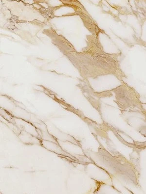 Glancētas flīzes CALACATTA GOLD RECT, 60x120 cm, APE