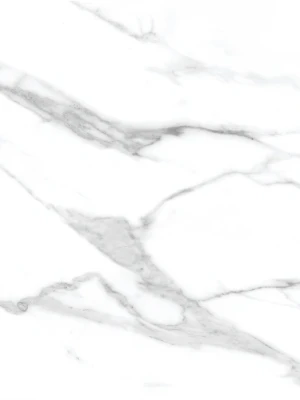 Matētas flīzes STATUARIO VENATO MATT, 60x120 cm, TS