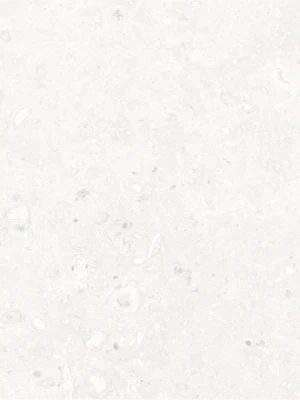 Matētas flīzes TOSCANA BIANCO, 60x120 cm, TS