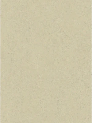 Matētas flīzes LIMESTONE CREMA, 60x120cm, PR