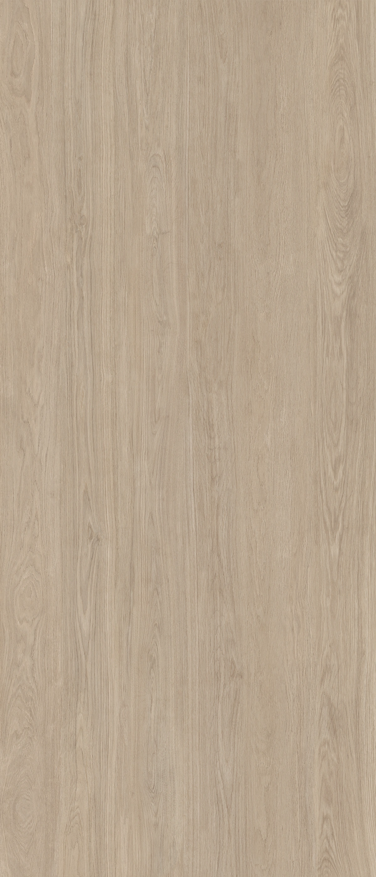 Matētas flīzes KINFOLK BEECH KINWOOD, 120x280 cm, APE
