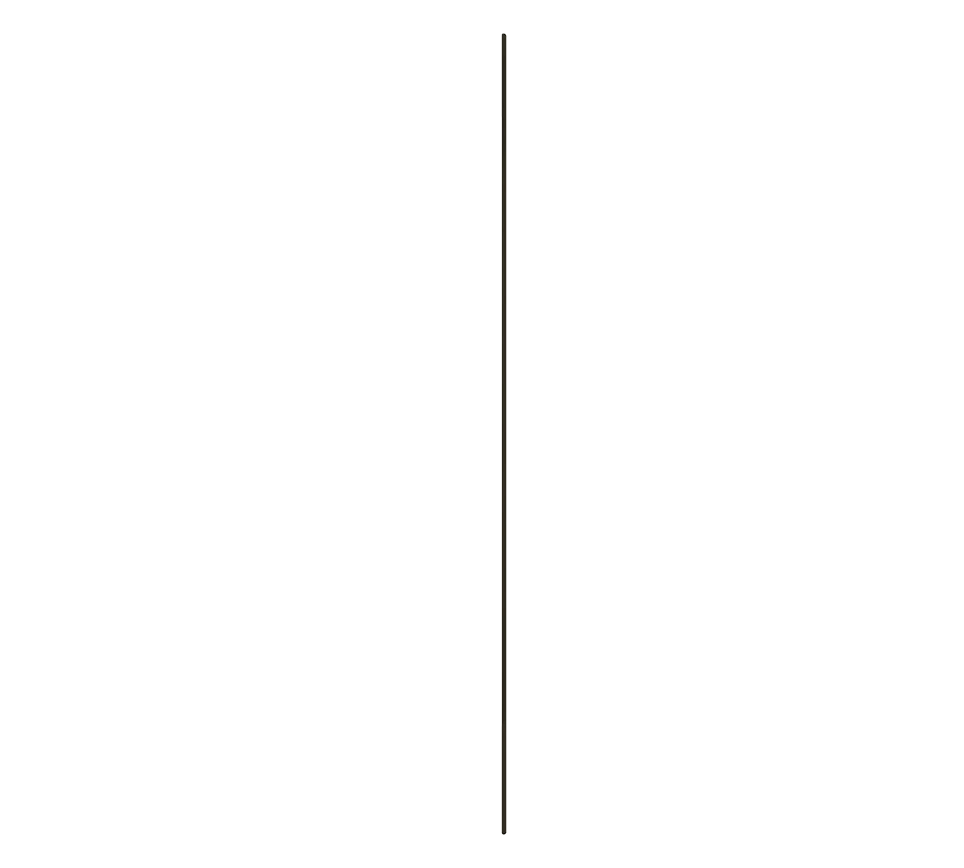 Spogulis JOSIE, 30 x 70 cm