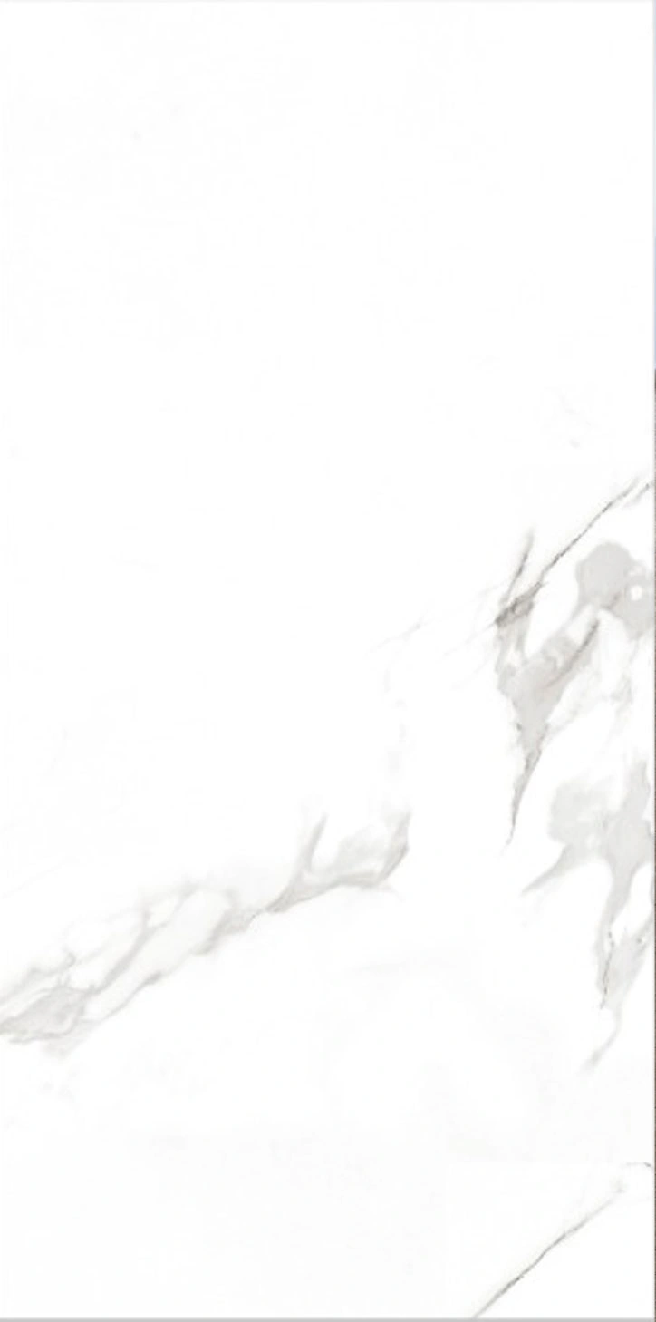 Matētas flīzes MANDALAY WHITE, 60x120 cm, AM