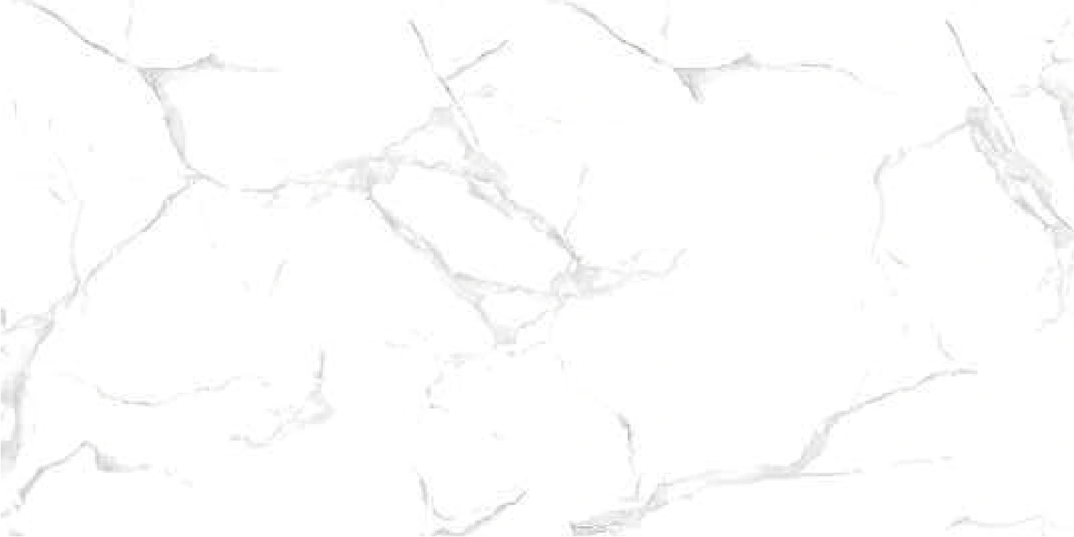 Matētas flīzes WHITE MARBLE, 60x120 cm, DE